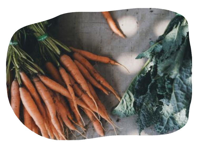 Image of vegetables